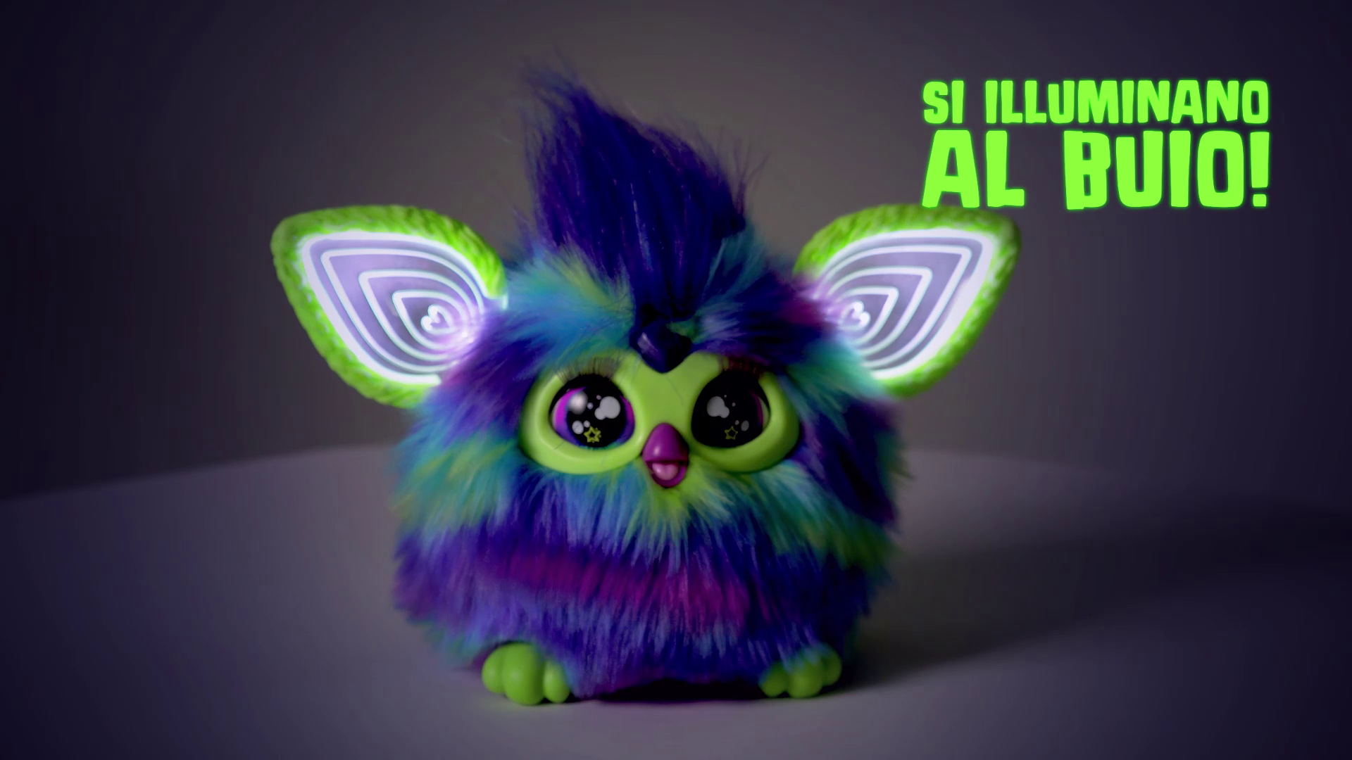 HASBRO13.