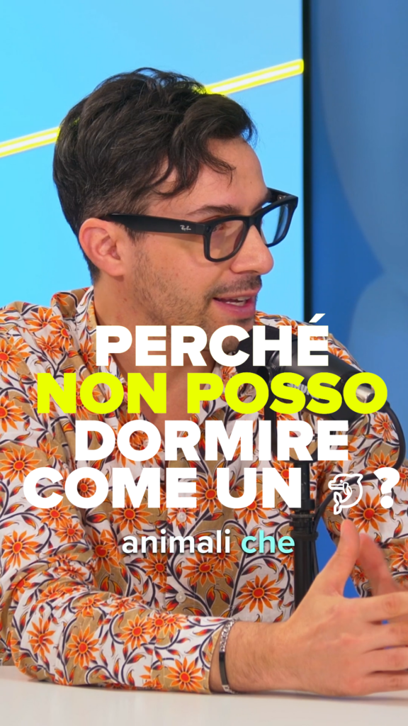 Perché l’uomo non può dormire come un delfino?